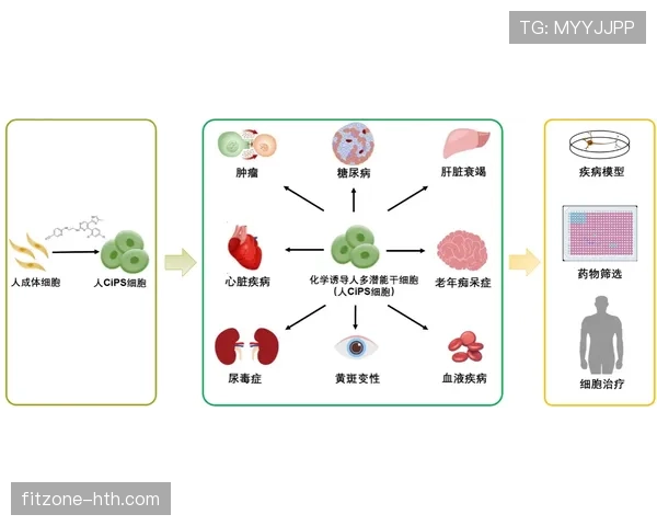 奥利塞上限究竟如何：潜能解析与位置瓶颈